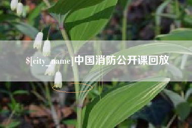肥城中国消防公开课回放