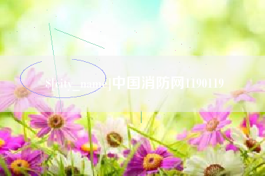 肥城中国消防网1190119