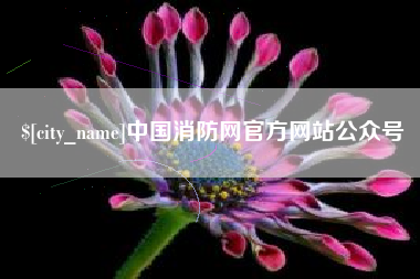 肥城中国消防网官方网站公众号
