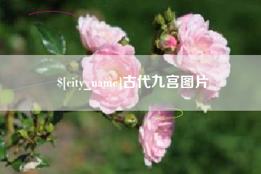 肥城古代九宫图片