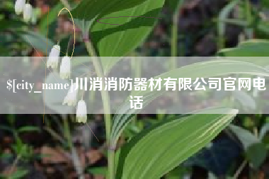 肥城川消消防器材有限公司官网电话