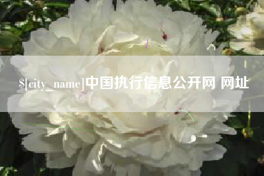 肥城中国执行信息公开网 网址