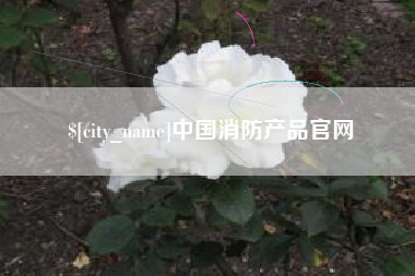 肥城中国消防产品官网