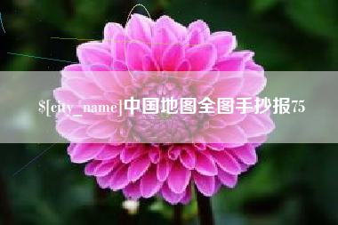 肥城中国地图全图手抄报75