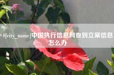 肥城中国执行信息网查到立案信息怎么办