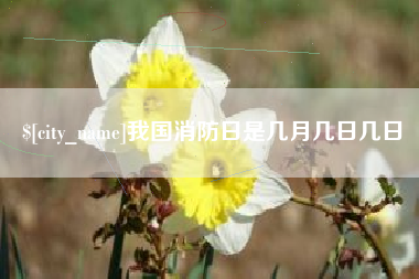 肥城我国消防日是几月几日几日