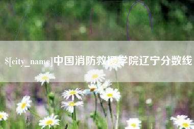 肥城中国消防救援学院辽宁分数线