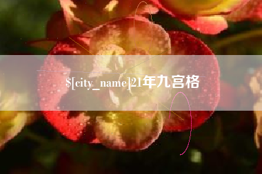 肥城21年九宫格