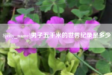 肥城男子五千米的世界纪录是多少