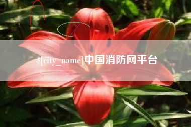 肥城中国消防网平台