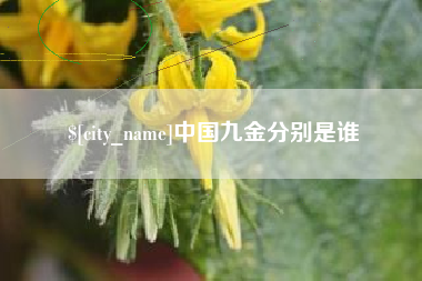 肥城中国九金分别是谁