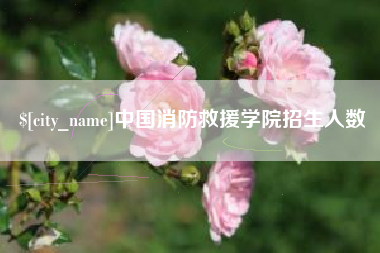 肥城中国消防救援学院招生人数