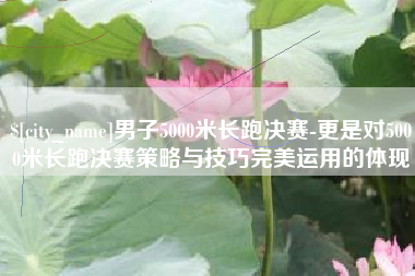 肥城男子5000米长跑决赛-更是对5000米长跑决赛策略与技巧完美运用的体现