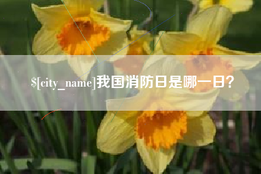 肥城我国消防日是哪一日？