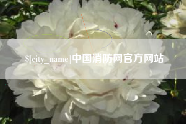 肥城中国消防网官方网站