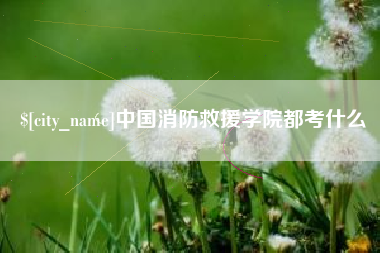 肥城中国消防救援学院都考什么