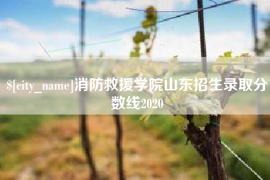 肥城消防救援学院山东招生录取分数线2020