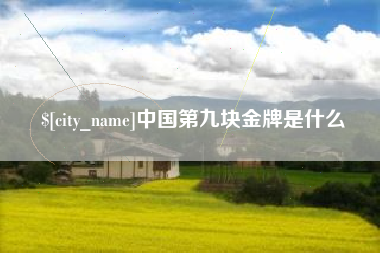 肥城中国第九块金牌是什么