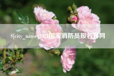 肥城2021国家消防员报名官网