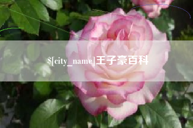 肥城王子豪百科