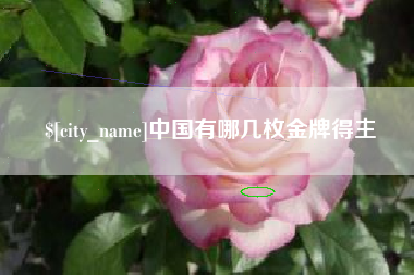 肥城中国有哪几枚金牌得主