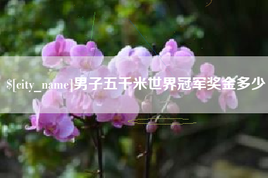 肥城男子五千米世界冠军奖金多少
