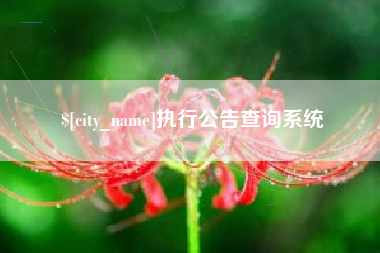 肥城执行公告查询系统