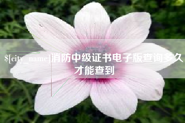肥城消防中级证书电子版查询多久才能查到