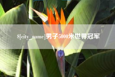 肥城男子5000米世界冠军