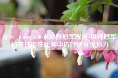 肥城5000米世界冠军配速-世界冠军们往往能在比赛中巧妙地分配体力