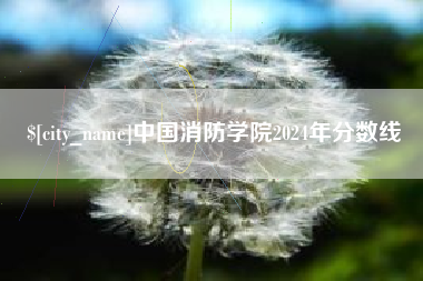 肥城中国消防学院2024年分数线