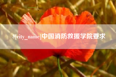 肥城中国消防救援学院要求