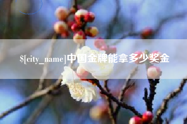 肥城中国金牌能拿多少奖金