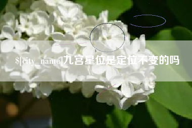 肥城九宫星位是定位不变的吗