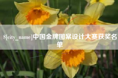 肥城中国金牌图案设计大赛获奖名单