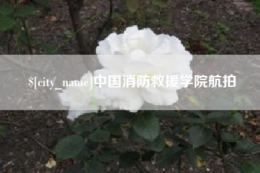 肥城中国消防救援学院航拍