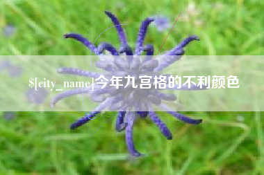 肥城今年九宫格的不利颜色