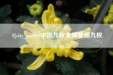 肥城中国九枚金牌是哪九枚