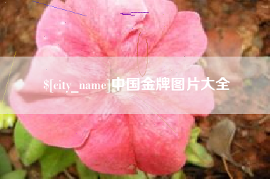 肥城中国金牌图片大全