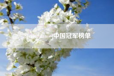 肥城中国冠军榜单