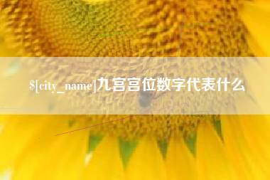 肥城九宫宫位数字代表什么