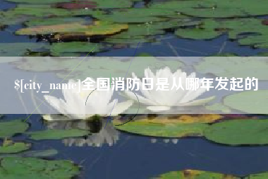 肥城全国消防日是从哪年发起的