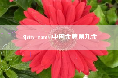 肥城中国金牌第九金