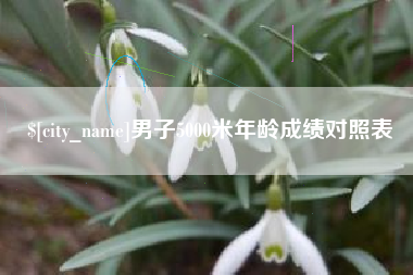 肥城男子5000米年龄成绩对照表