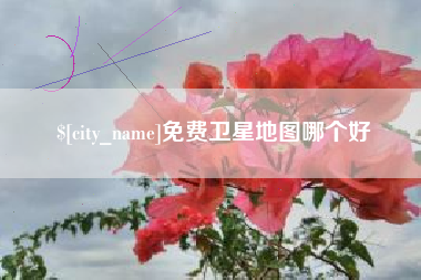 肥城免费卫星地图哪个好