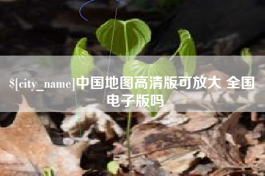 肥城中国地图高清版可放大 全国 电子版吗