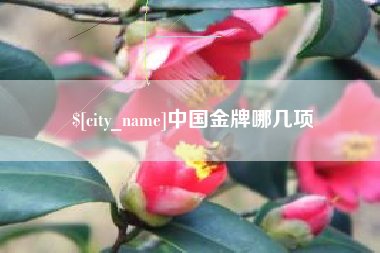 肥城中国金牌哪几项
