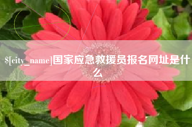 肥城国家应急救援员报名网址是什么