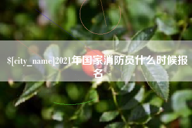 肥城2021年国家消防员什么时候报名
