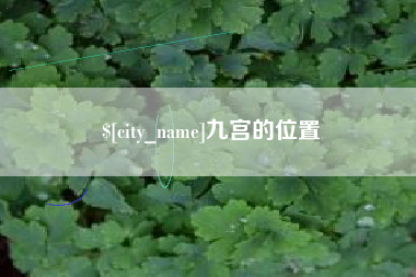 肥城九宫的位置